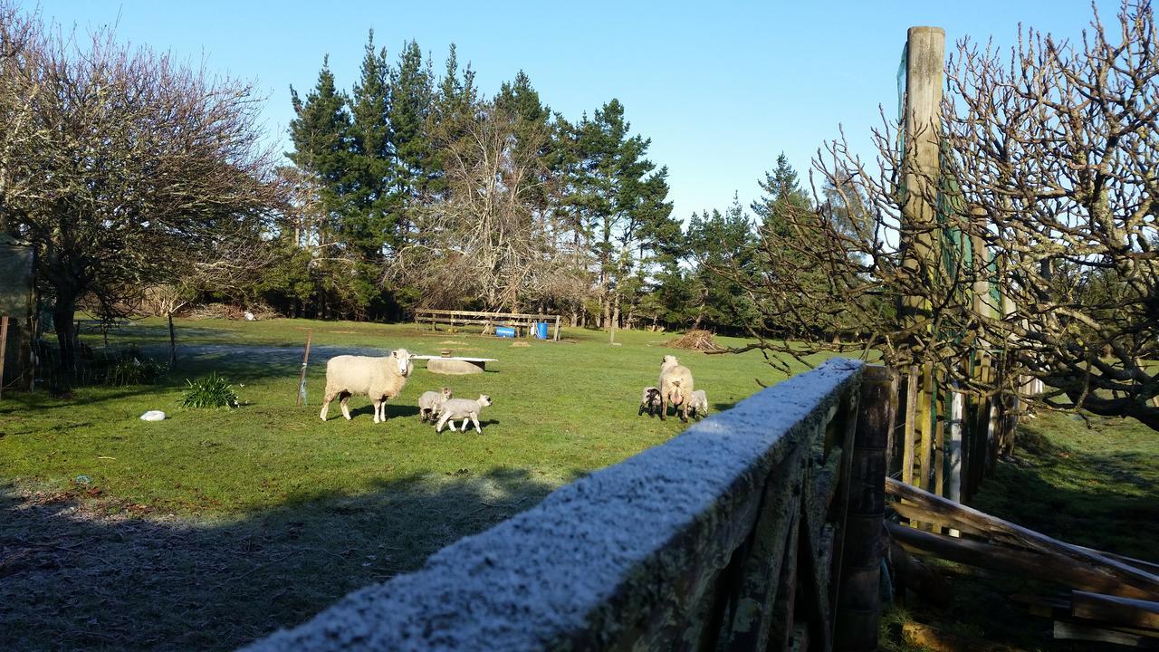 Woodbury Farm Bed & Breakfast Takanini Exterior foto