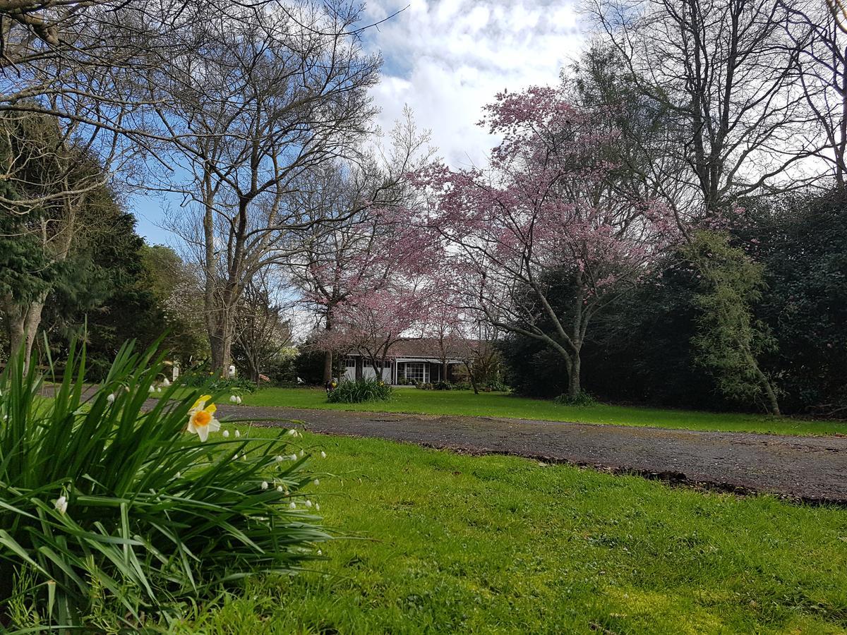 Woodbury Farm Bed & Breakfast Takanini Exterior foto